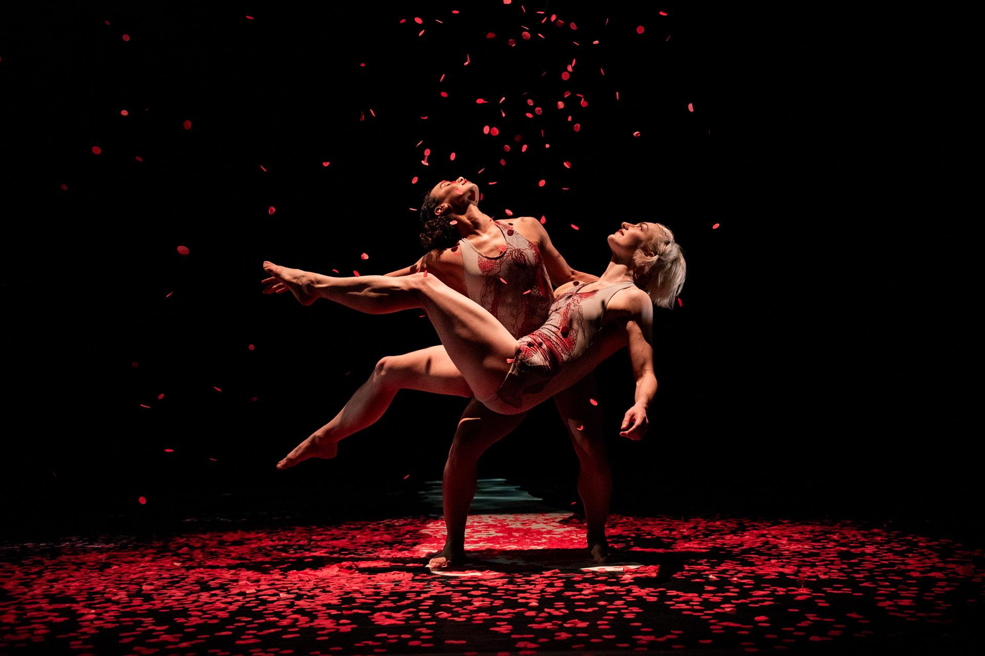 Two ballet dancers perform a dramatic lift on a dark stage, surrounded by falling red rose petals and petals scattered on the floor, both wearing minimal costumes. The lighting highlights their graceful movements.